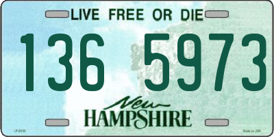 NH license plate 1365973