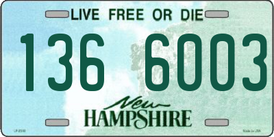 NH license plate 1366003