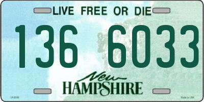 NH license plate 1366033