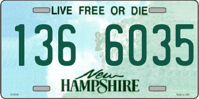 NH license plate 1366035