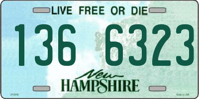 NH license plate 1366323