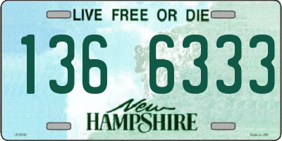 NH license plate 1366333