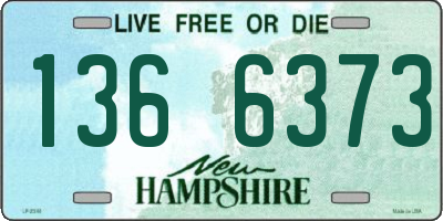 NH license plate 1366373
