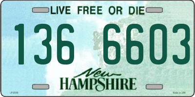 NH license plate 1366603