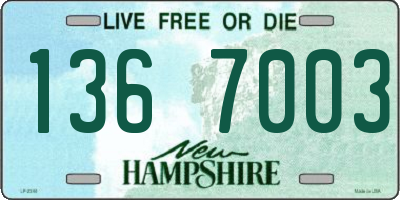 NH license plate 1367003