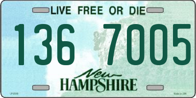 NH license plate 1367005