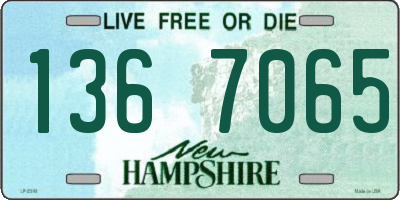 NH license plate 1367065