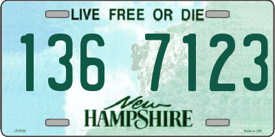 NH license plate 1367123