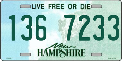 NH license plate 1367233