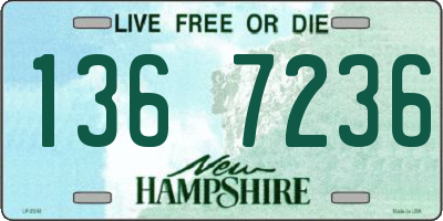 NH license plate 1367236