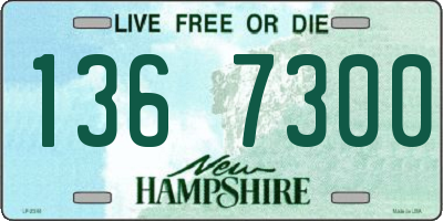 NH license plate 1367300