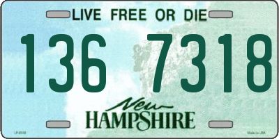 NH license plate 1367318