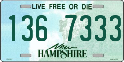 NH license plate 1367333