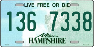 NH license plate 1367338