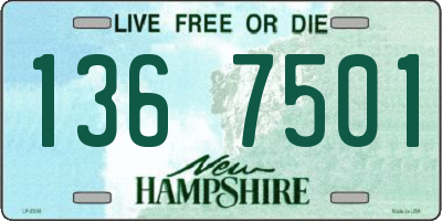 NH license plate 1367501