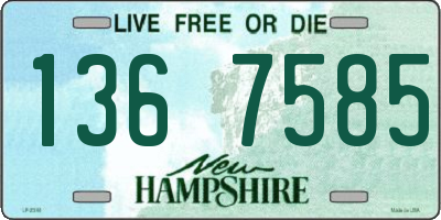 NH license plate 1367585
