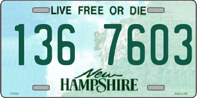 NH license plate 1367603