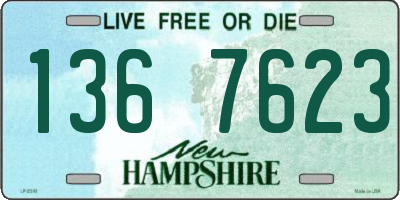 NH license plate 1367623