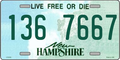 NH license plate 1367667
