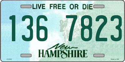 NH license plate 1367823