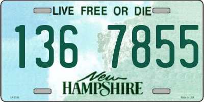 NH license plate 1367855
