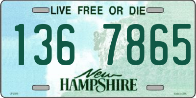 NH license plate 1367865