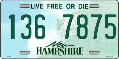 NH license plate 1367875