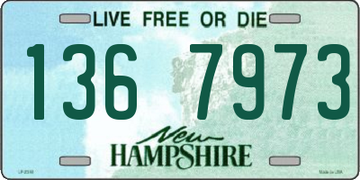NH license plate 1367973