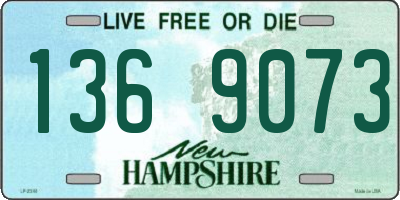 NH license plate 1369073