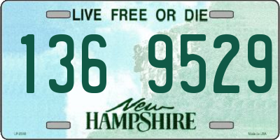 NH license plate 1369529