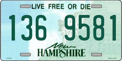 NH license plate 1369581