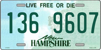 NH license plate 1369607