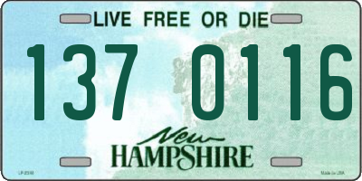 NH license plate 1370116