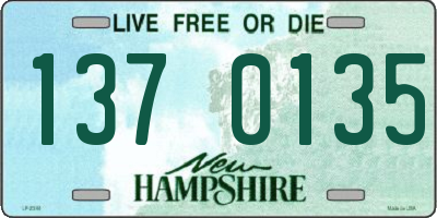 NH license plate 1370135