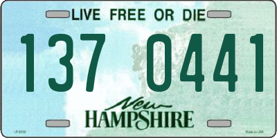 NH license plate 1370441
