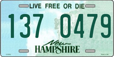 NH license plate 1370479