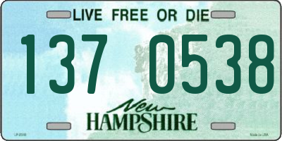 NH license plate 1370538