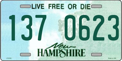 NH license plate 1370623