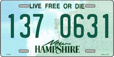 NH license plate 1370631