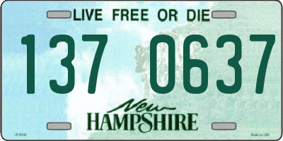 NH license plate 1370637