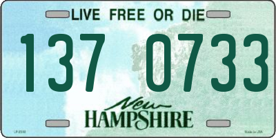 NH license plate 1370733