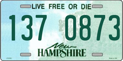 NH license plate 1370873