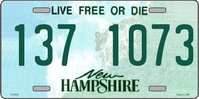 NH license plate 1371073