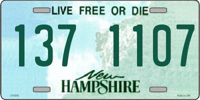 NH license plate 1371107
