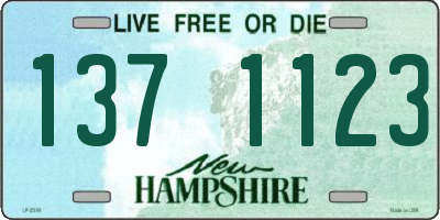 NH license plate 1371123