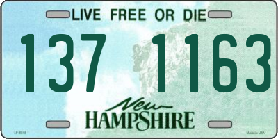 NH license plate 1371163