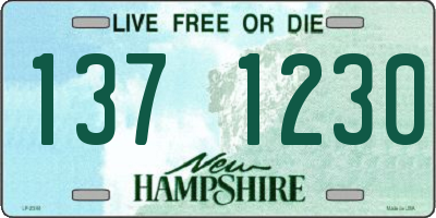 NH license plate 1371230