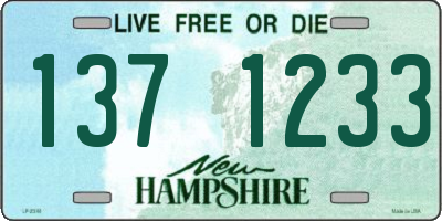 NH license plate 1371233