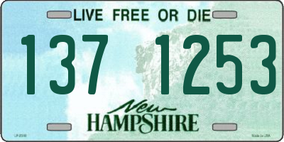NH license plate 1371253