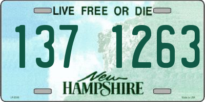 NH license plate 1371263